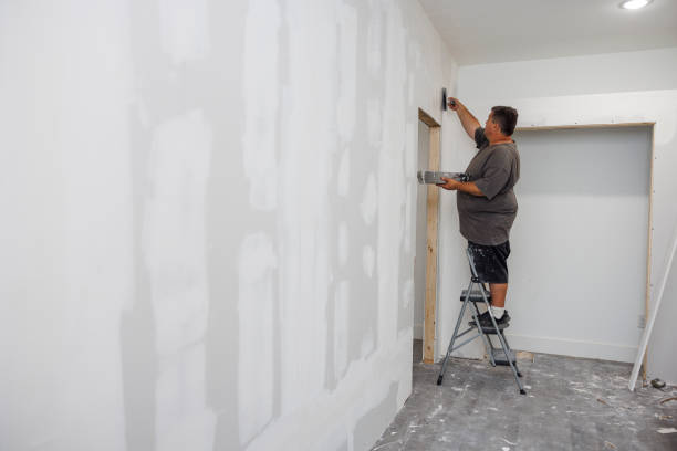Best Mold Prevention Services  in Perry, UT