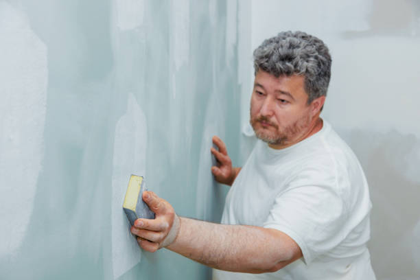 Best Basement Mold Removal  in Perry, UT