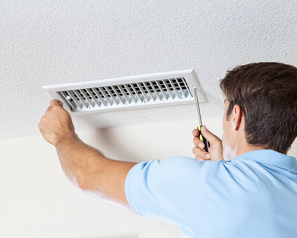 Best Mold Remediation for Healthcare Facilities  in Perry, UT