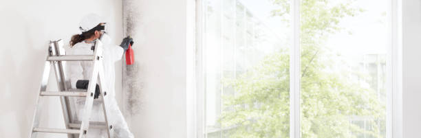 Best HVAC Mold Inspection and Cleaning  in Perry, UT
