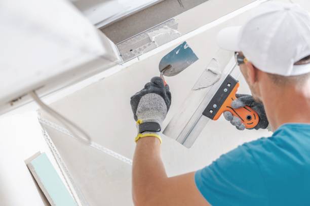 Best Mold Documentation for Insurance Claims  in Perry, UT